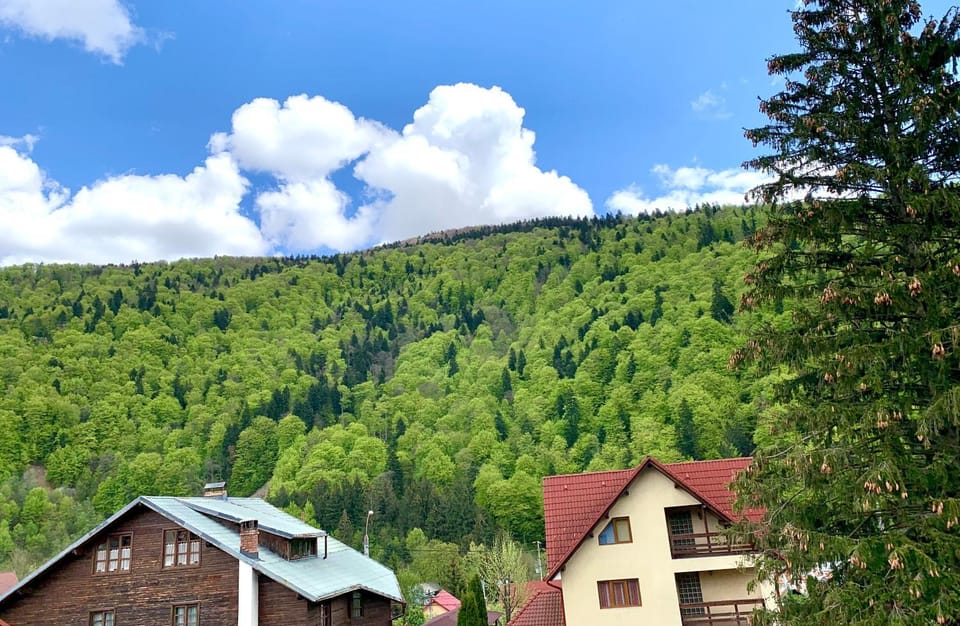 Mountain view