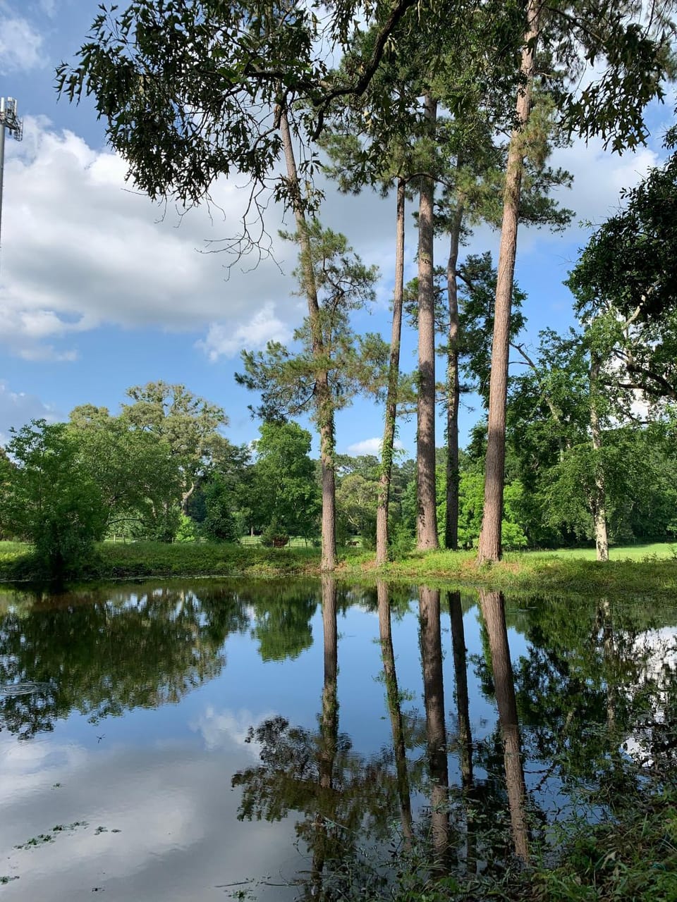 Natural landscape