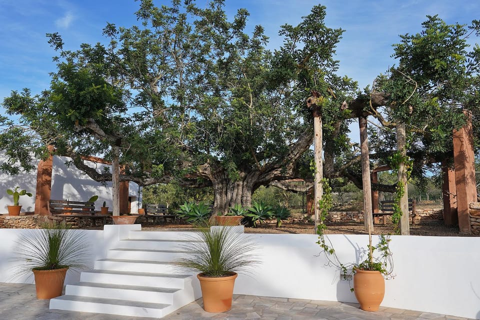 Villa Can Vicent Den Costa Villa in Ibiza
