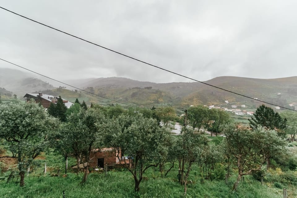 Natural landscape, View (from property/room), Mountain view