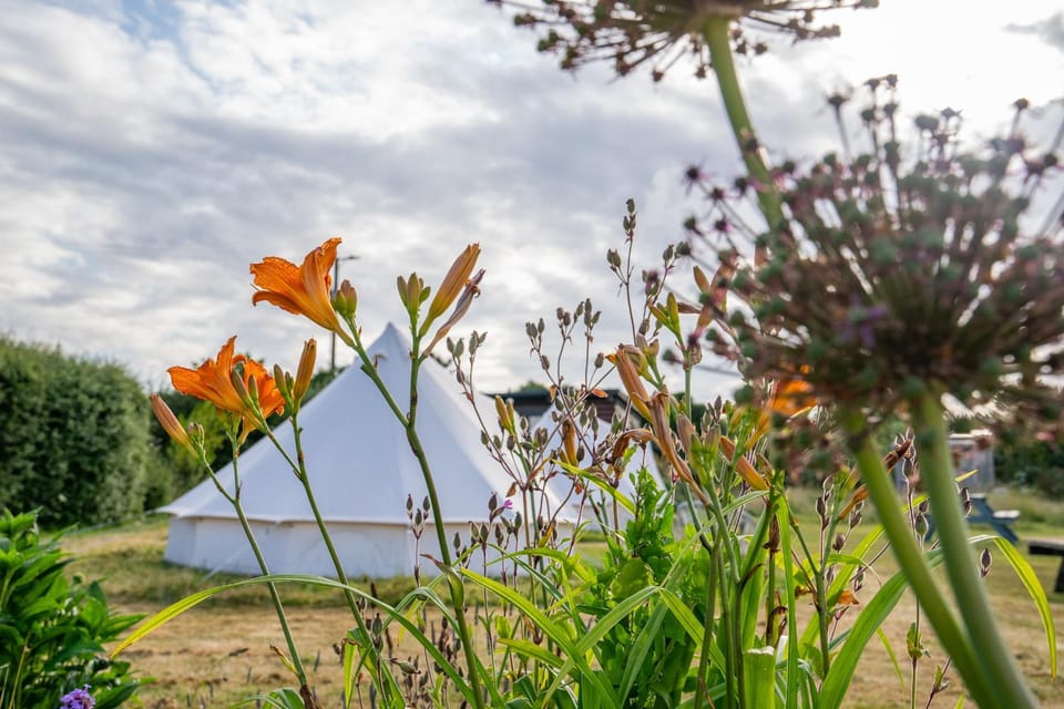 The Paddock Wildcamp Luxury tent in England