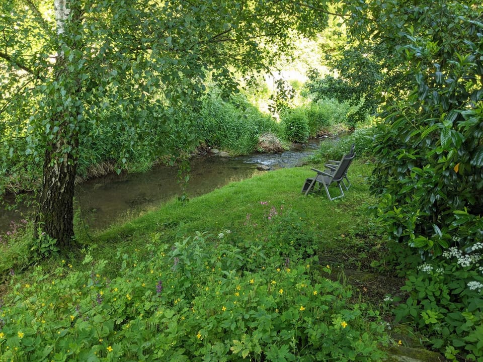 Garden view