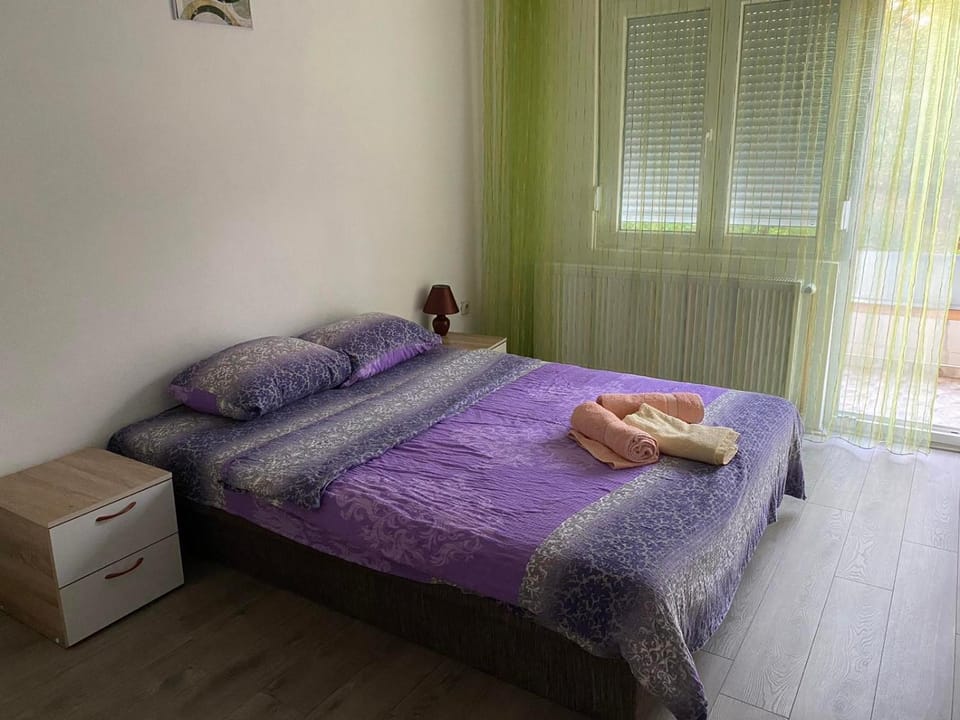 Smestaj Milisavljevic Apartment in Serbia