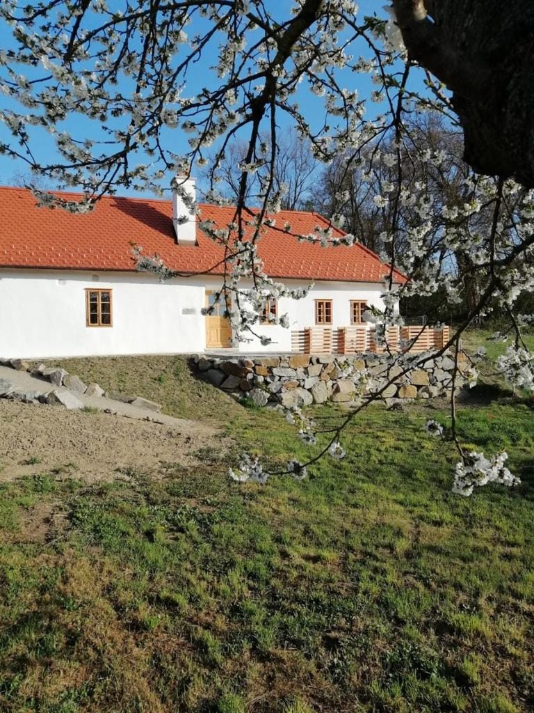 Property building, Garden, Balcony/Terrace
