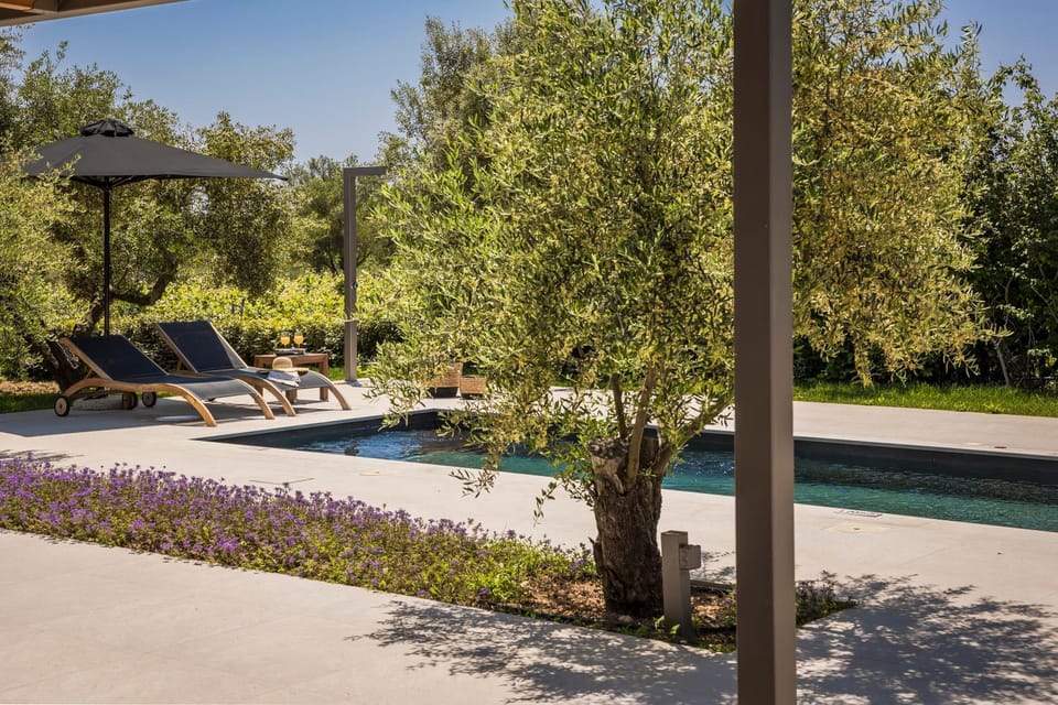Patio, Garden, Swimming pool