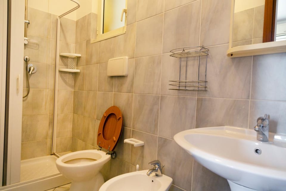 Shower, Toilet, Bathroom, bidet