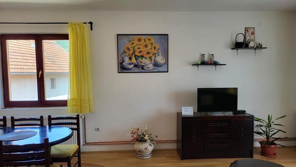 Apartman Jovanović Apartment in Zlatibor District, Serbia