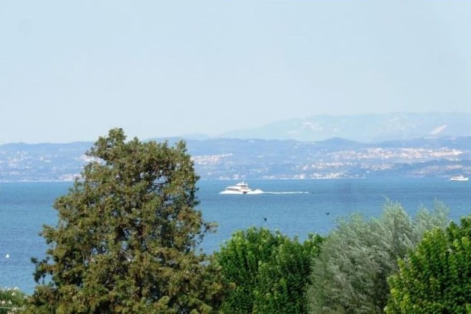 Lake view