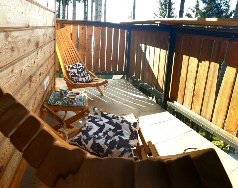 Golte SkiCenter App MOUNTAIN VIEW WITH BALCONY Apartment in Slovenia