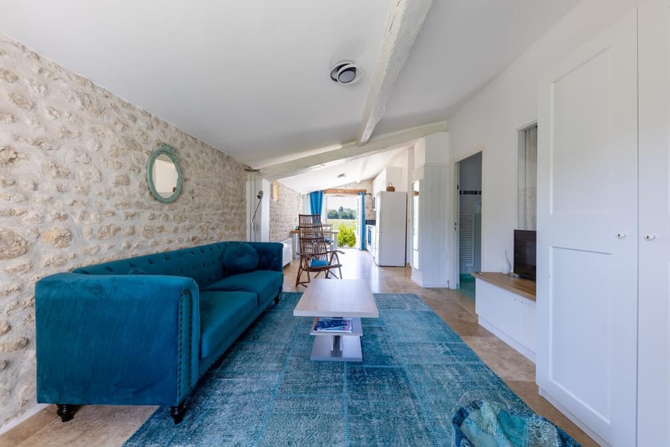 Château du XVIIe siècle - Piscine Pétanque & Barbecue Apartment in Marennes-Hiers-Brouage