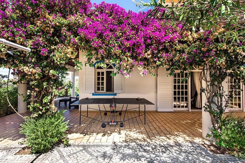 Property building, Patio, Spring, Day, Dining area, Garden view
