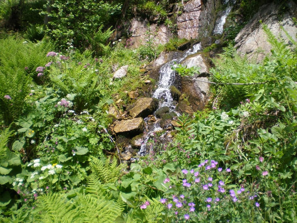 Natural landscape