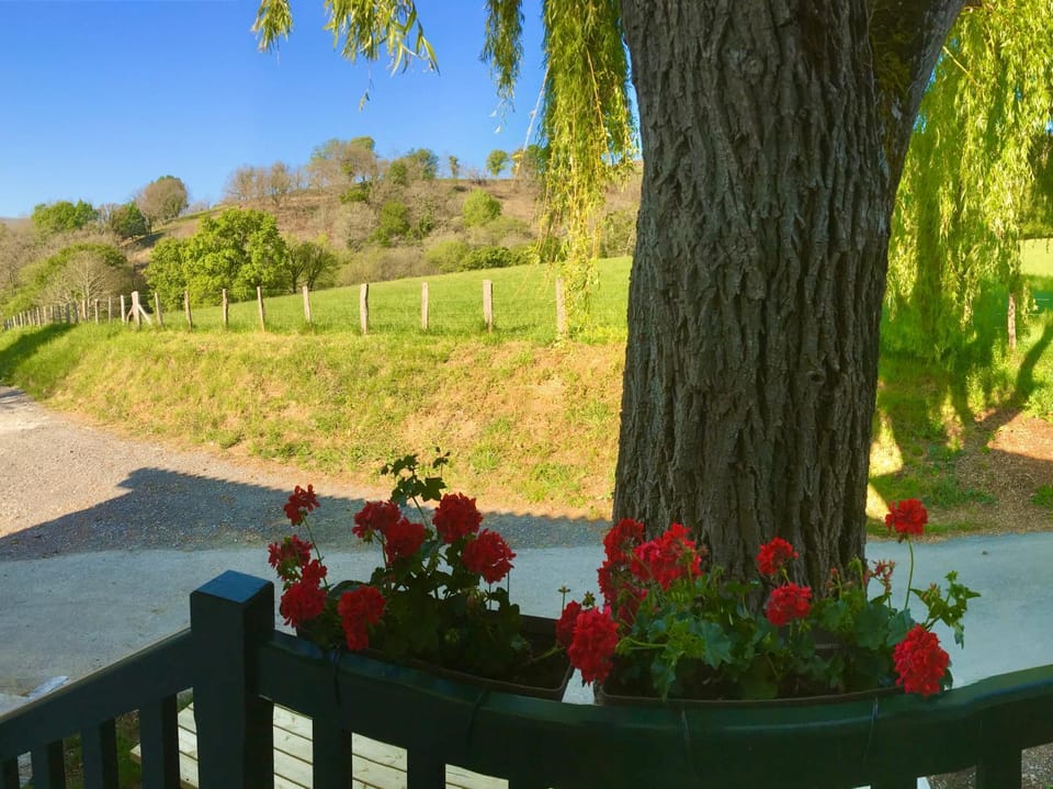 Garden view