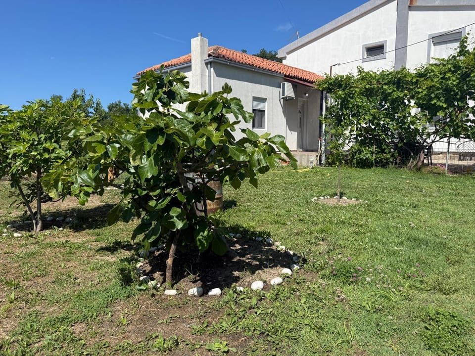 AparDibra Apartment in Ulcinj Municipality