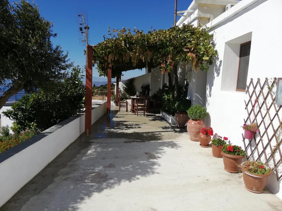 Patio, Balcony/Terrace