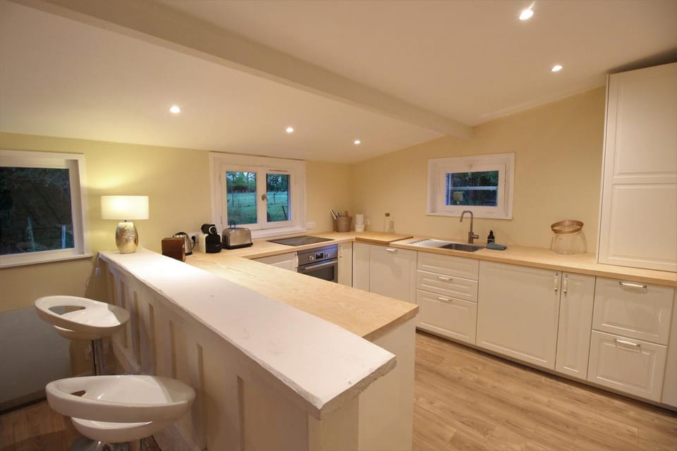 Kitchen or kitchenette, minibar, pet friendly, stove