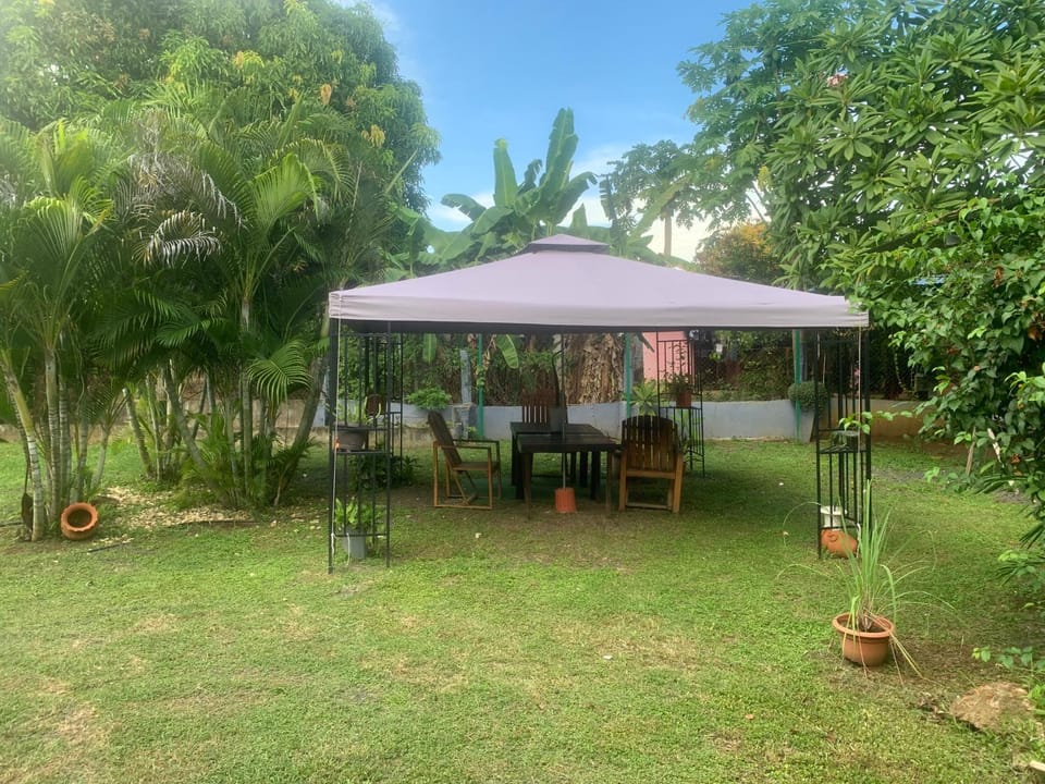 Patio, Garden, Garden view