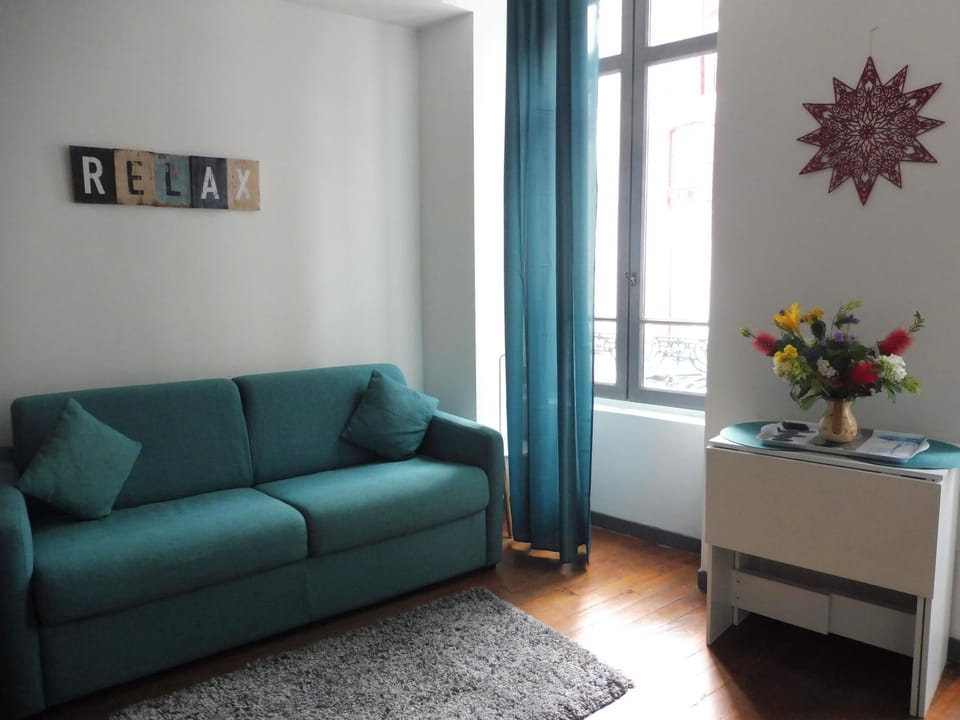 Studio de charme au centre ville Apartment in French Basque Country