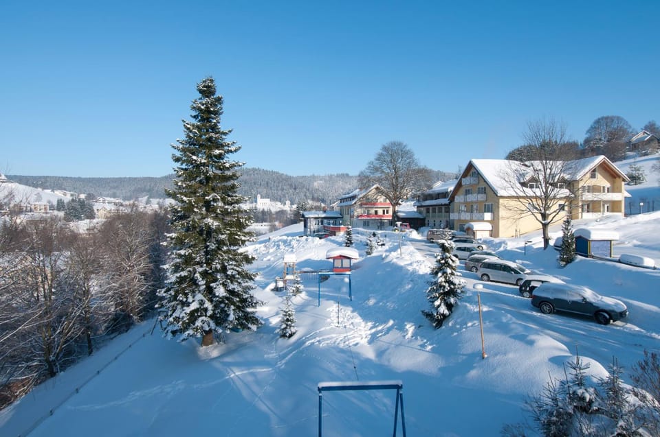 Winter