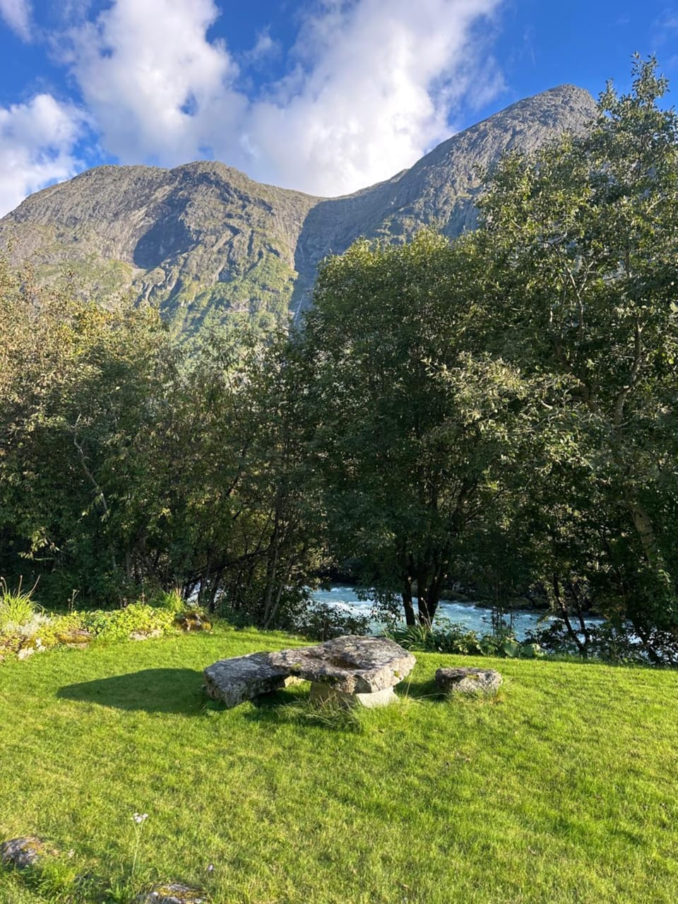 Garden, Garden, Seating area, River view