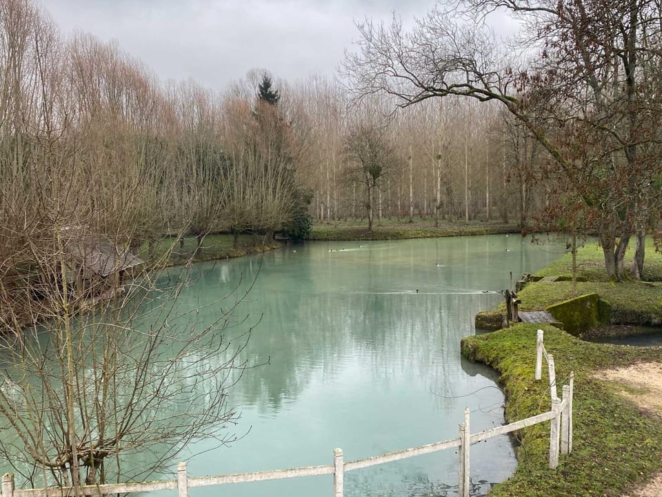 Lake view
