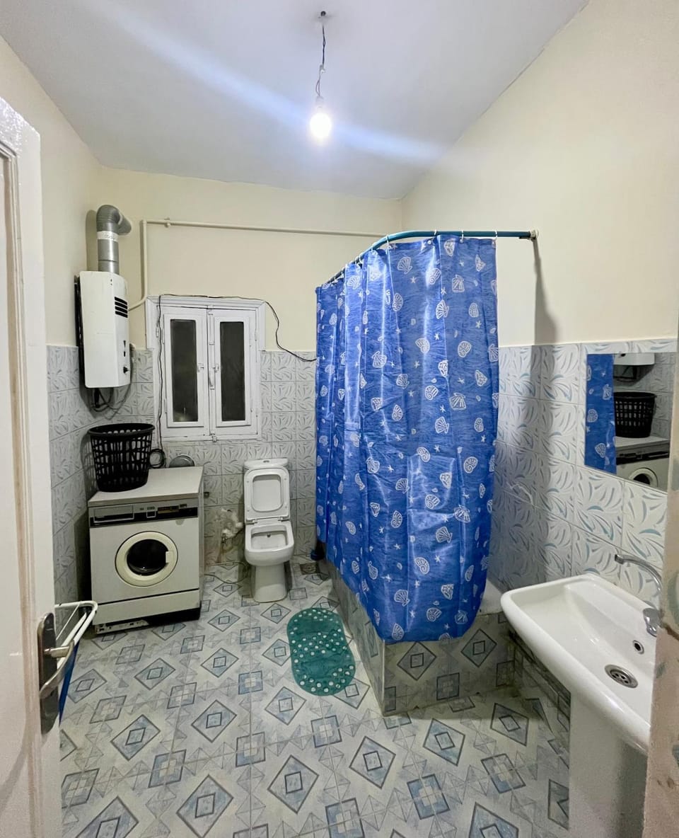 Toilet, Bathroom, washing machine