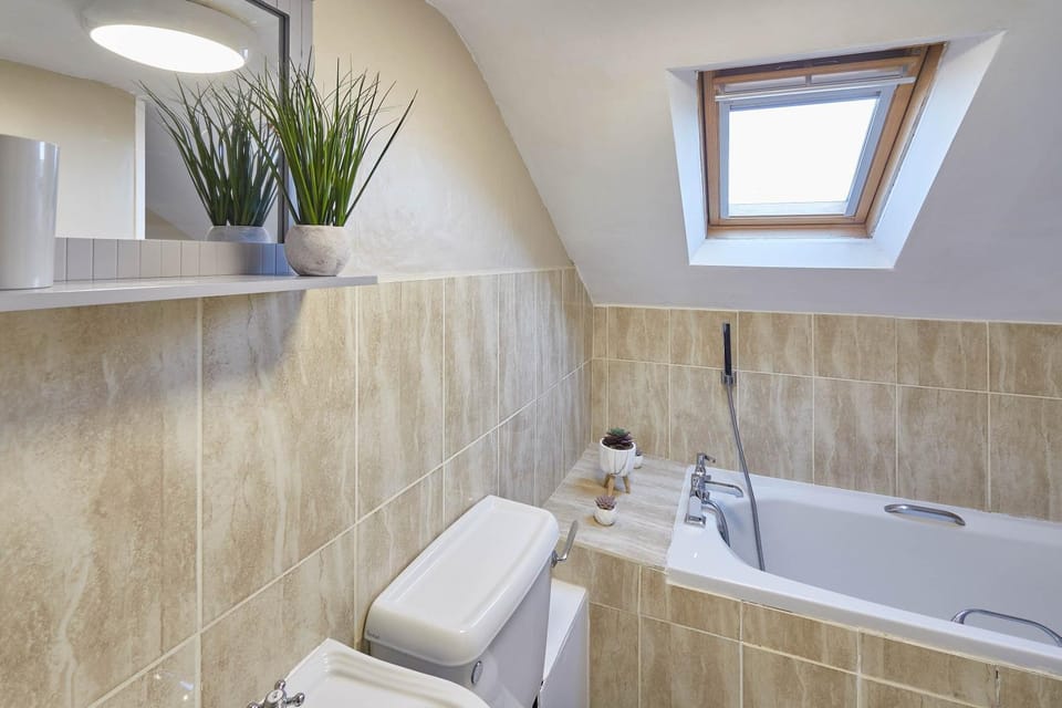Toilet, Bathroom, Bath