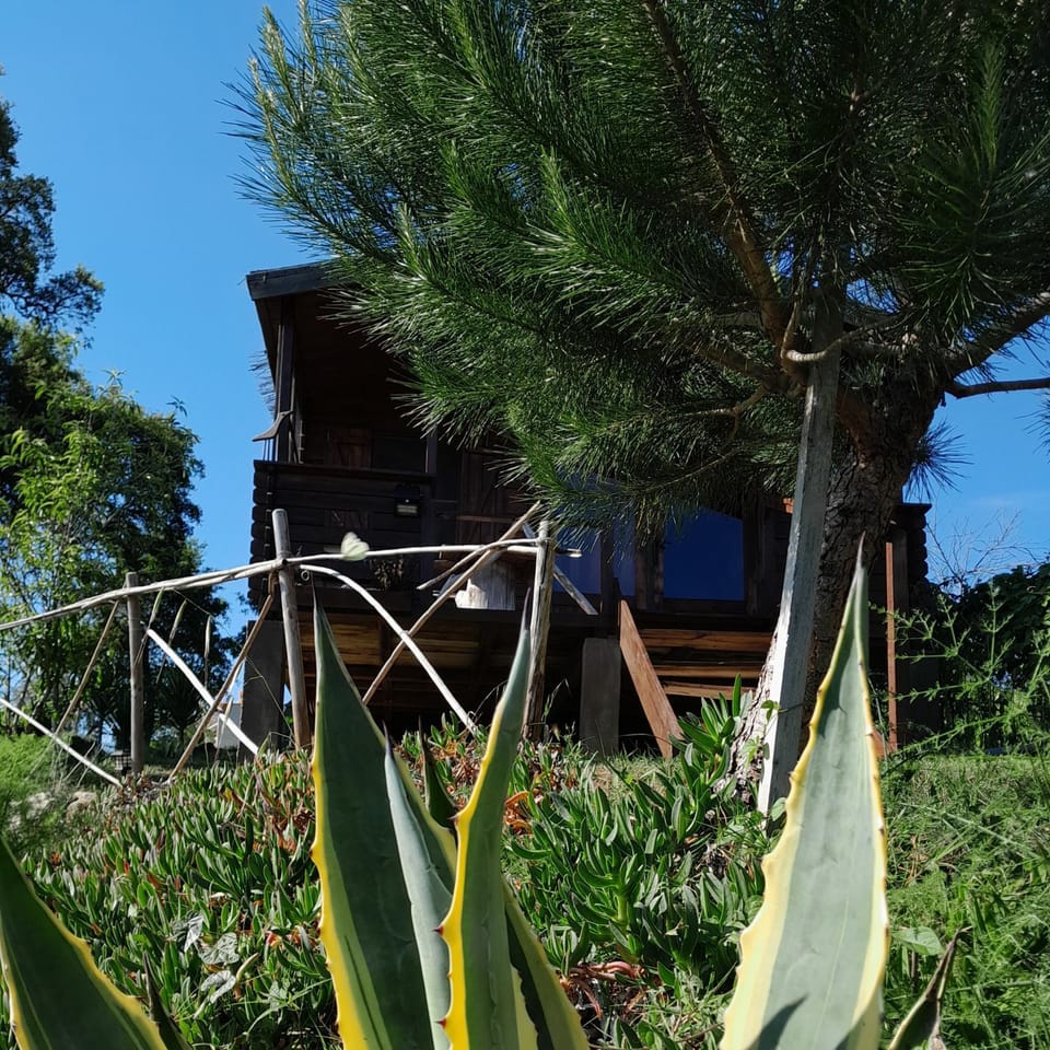 Casa do Sobreiro 2 Bed and Breakfast in Coimbra District, Portugal