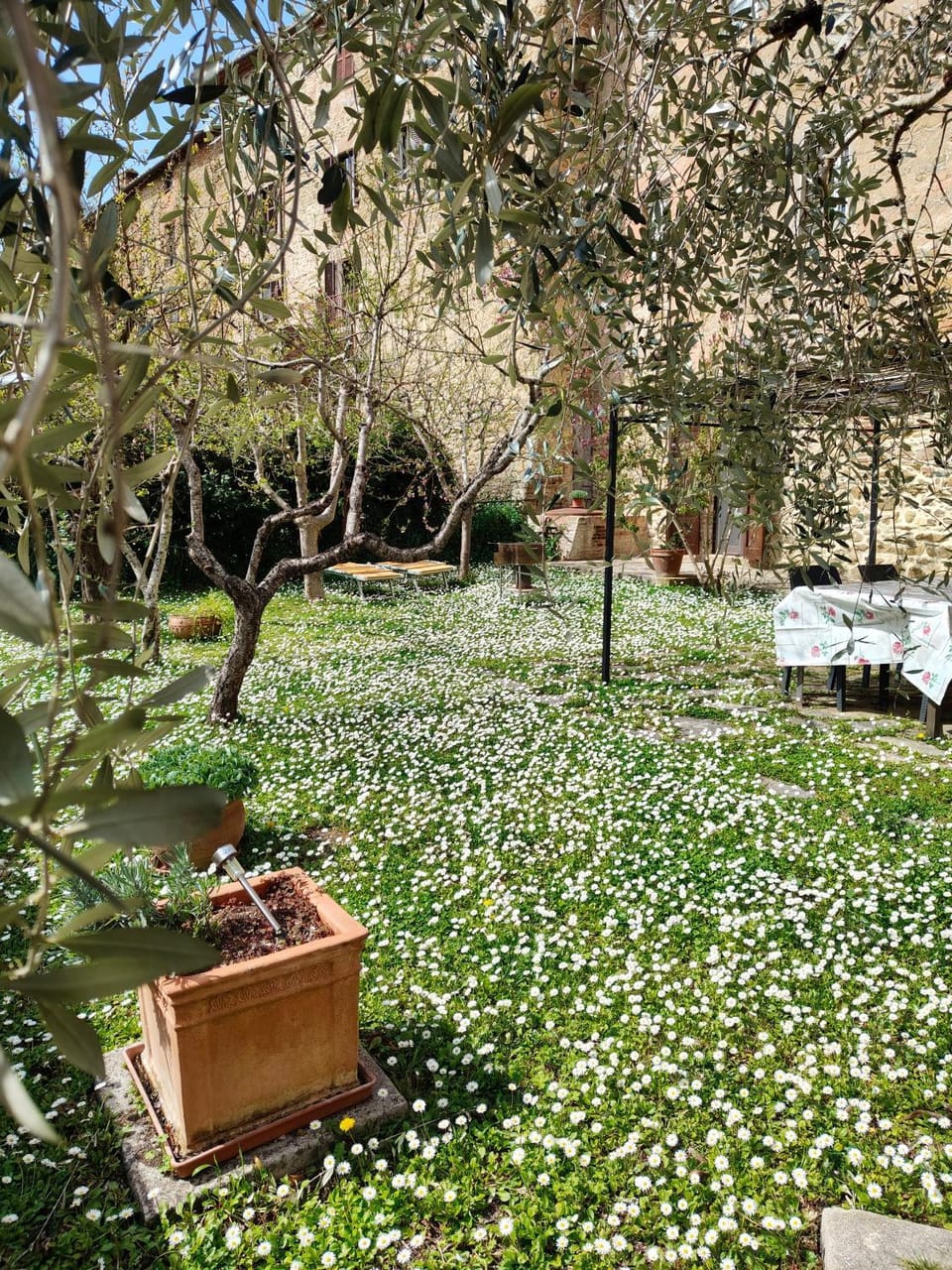 "Il Pollaio" guests house Apartment in Umbria