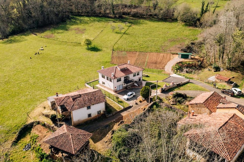 Day, Natural landscape, Garden