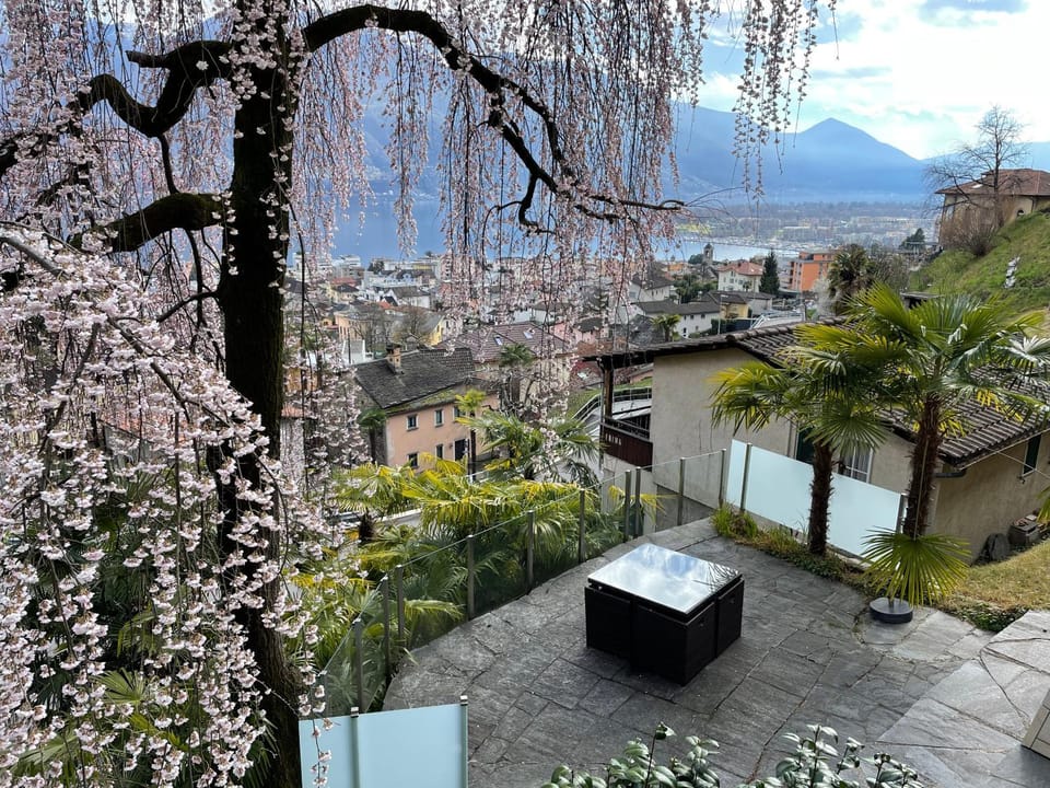 Spring, Garden, Balcony/Terrace, Garden view