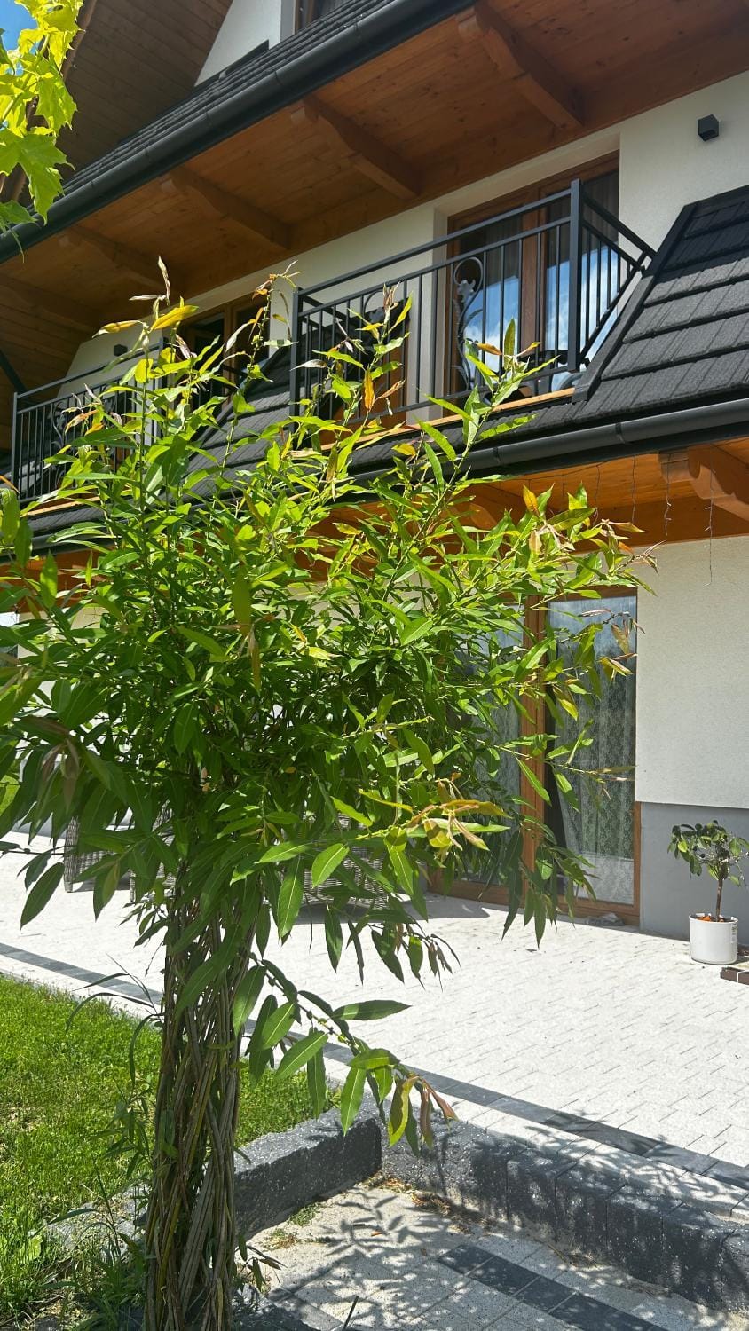 Garden, Balcony/Terrace, Balcony/Terrace, Garden view, Quiet street view