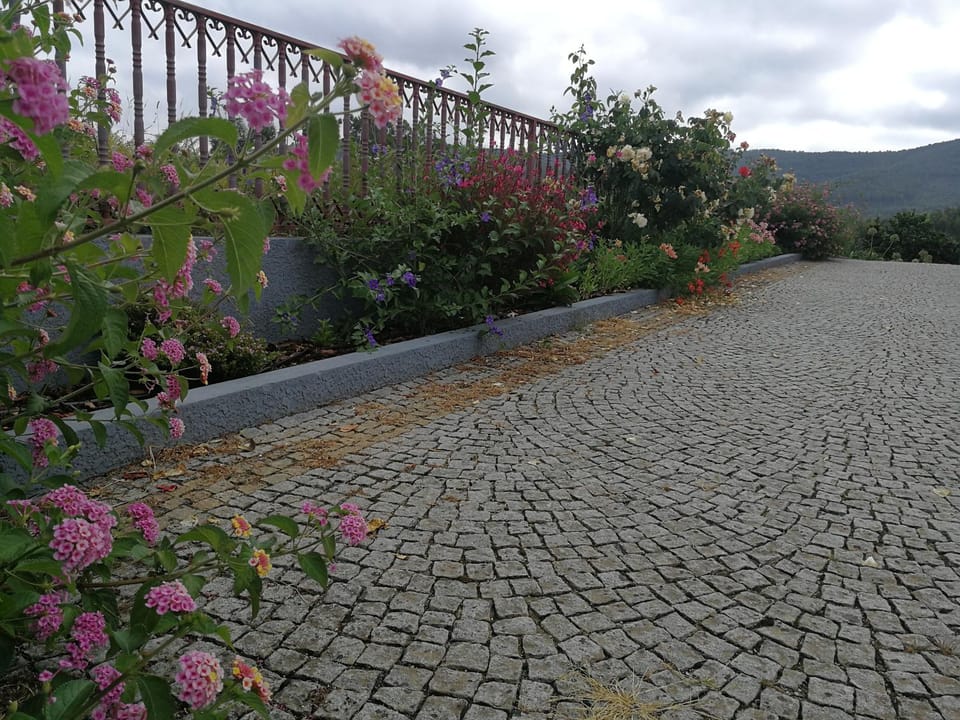 Garden, Garden view