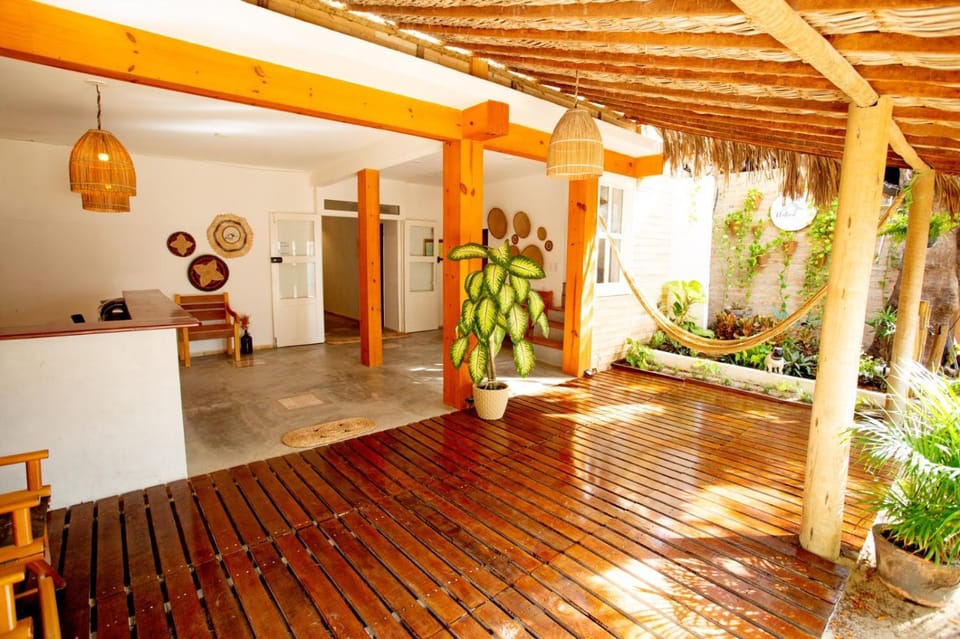Patio, Garden