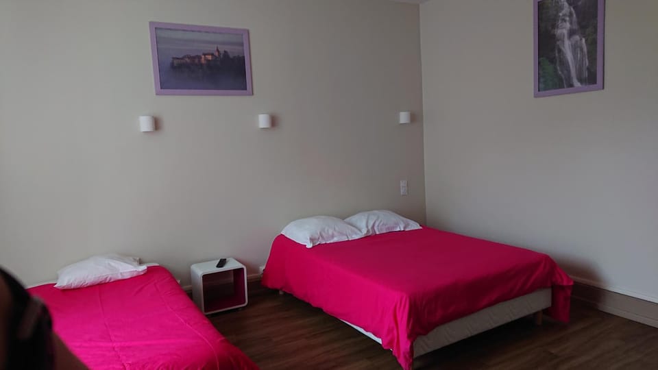Hôtel de L'Europe Hotel in Occitanie