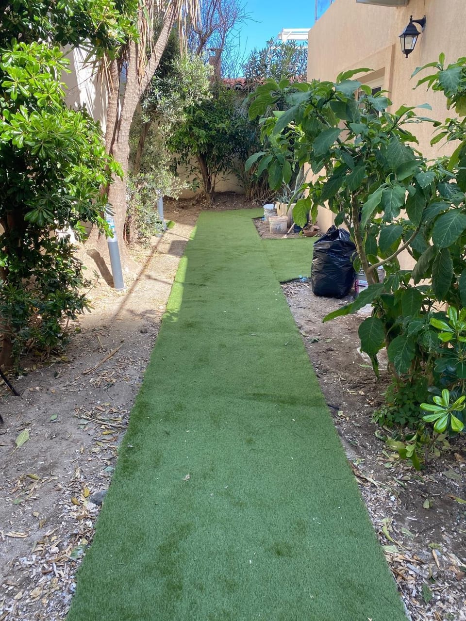 Garden view