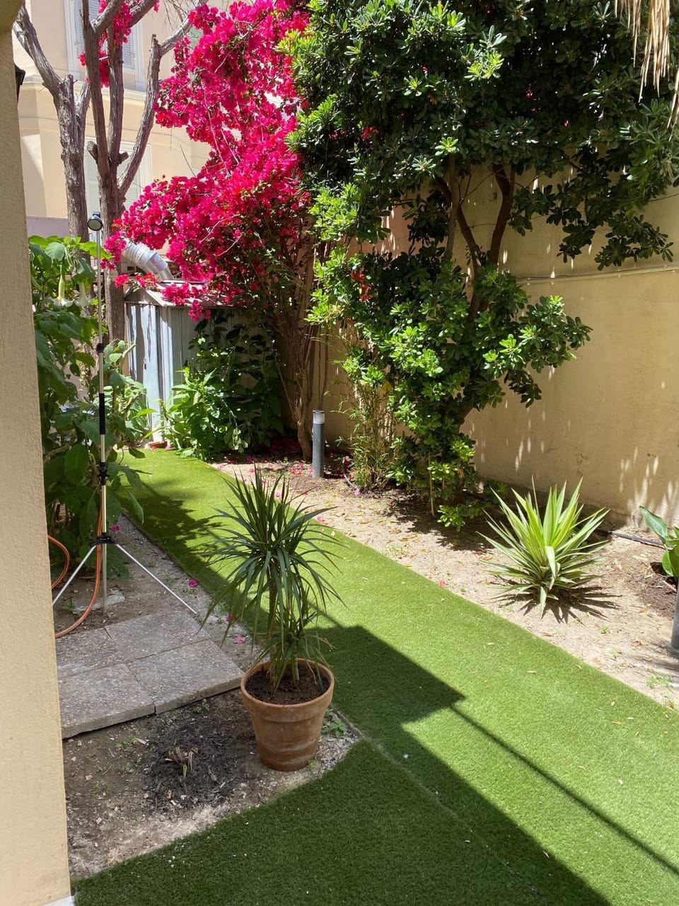 Garden view