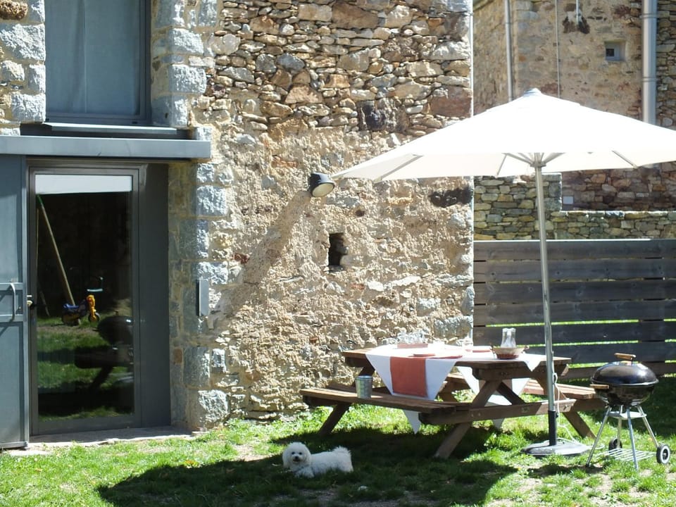 Patio, Day, Pets