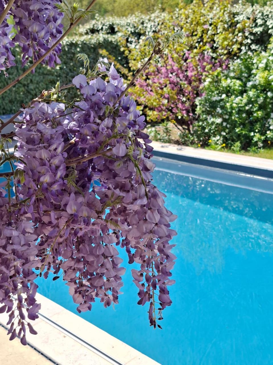 Onze Villa in Provence, Mont Ventoux, New Luxury Villa, Private Pool, Stunning views, Outdoor Kitchen, Big Green Egg House in Malaucène