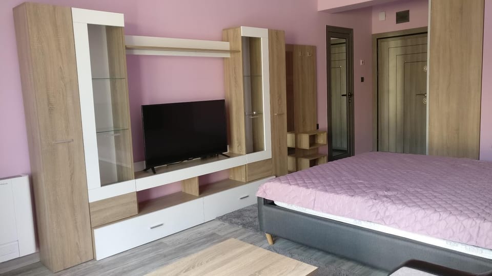 Bed, TV and multimedia, Photo of the whole room