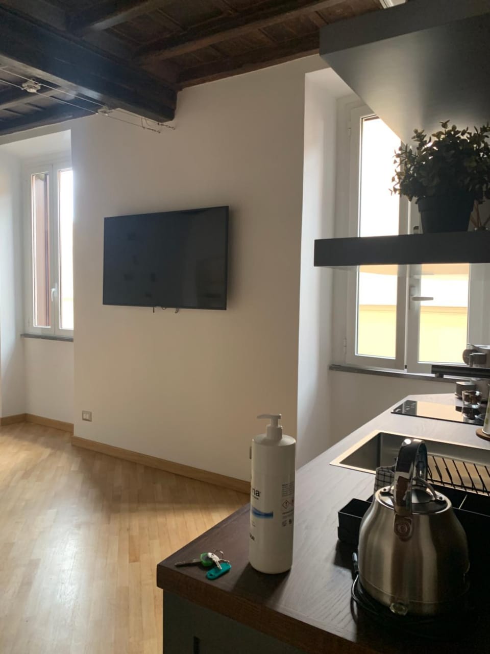 Luxury Roman Holiday Coronari Apartment in Rome