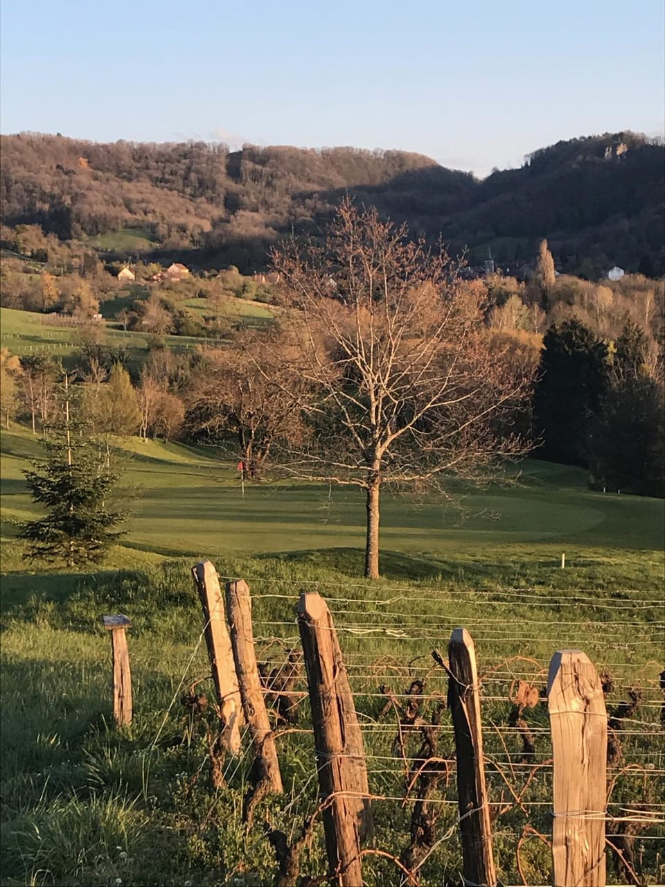Golf Val de Sorne Vernantois Maison vigneronne House in Jura