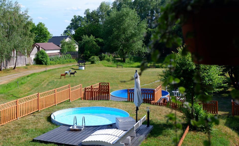 Natural landscape, Garden, Garden view, Pool view, Swimming pool, sunbed