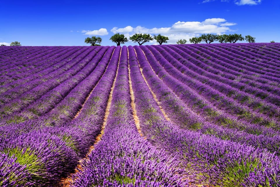 Natural landscape
