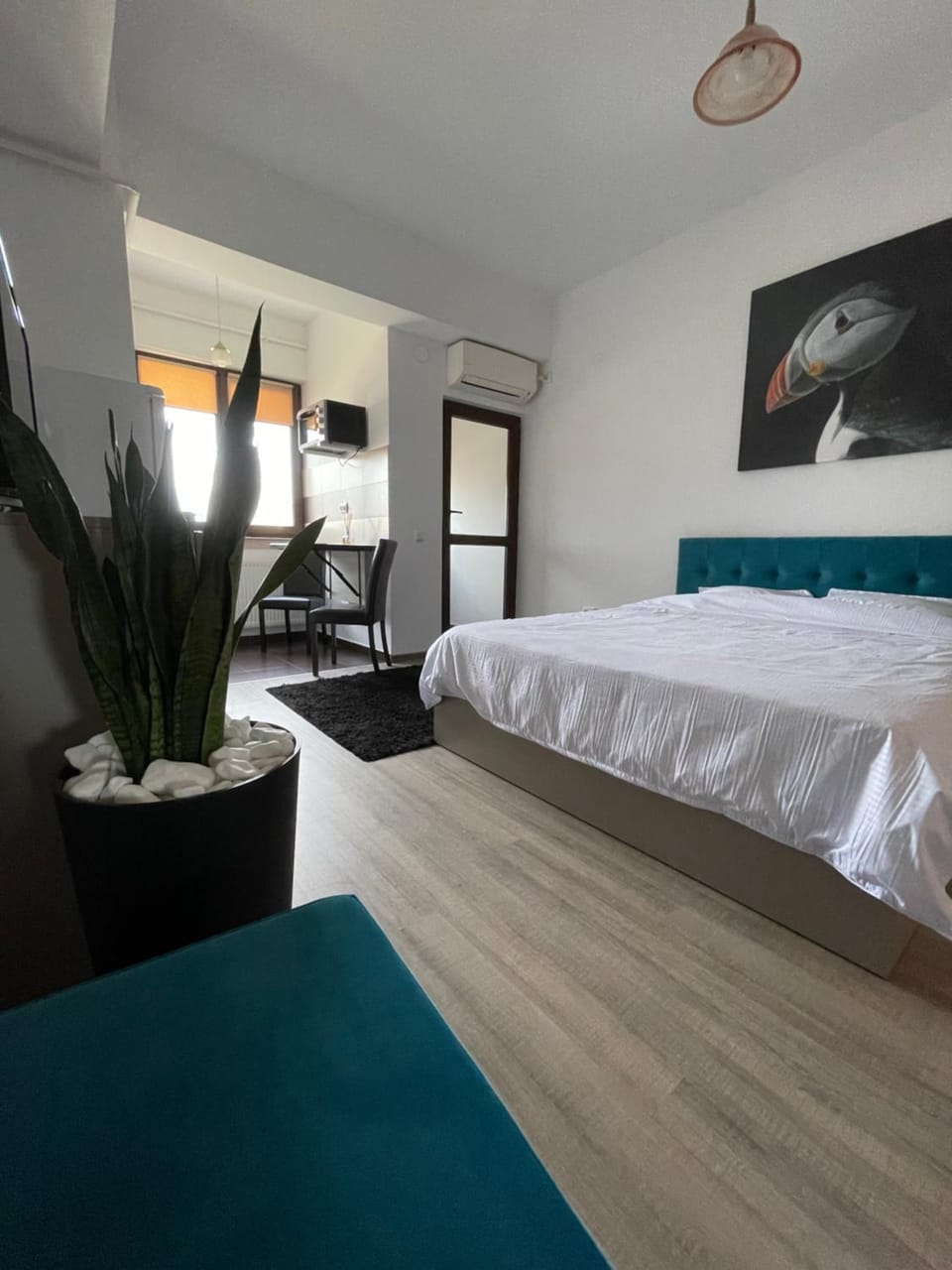 Le Nid - your central destination Apartment in Romania