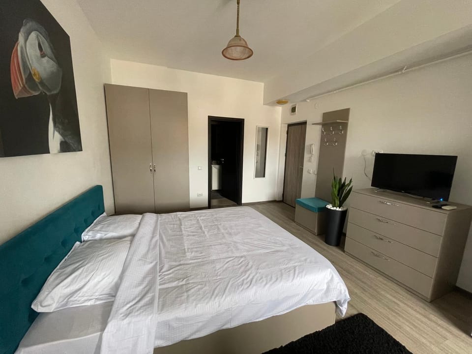 Le Nid - your central destination Apartment in Romania