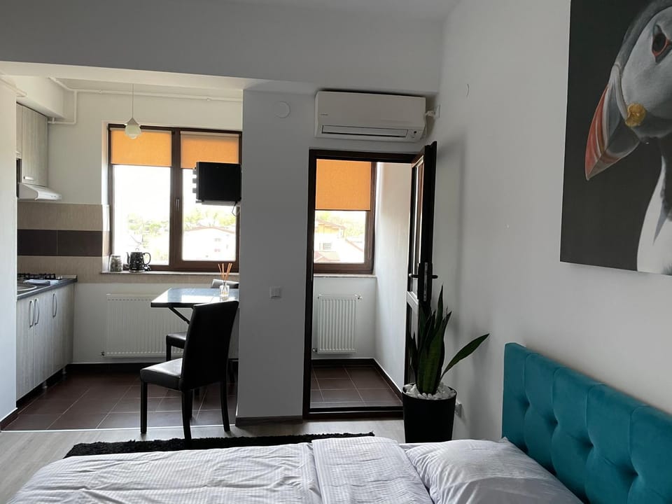 Le Nid - your central destination Apartment in Romania