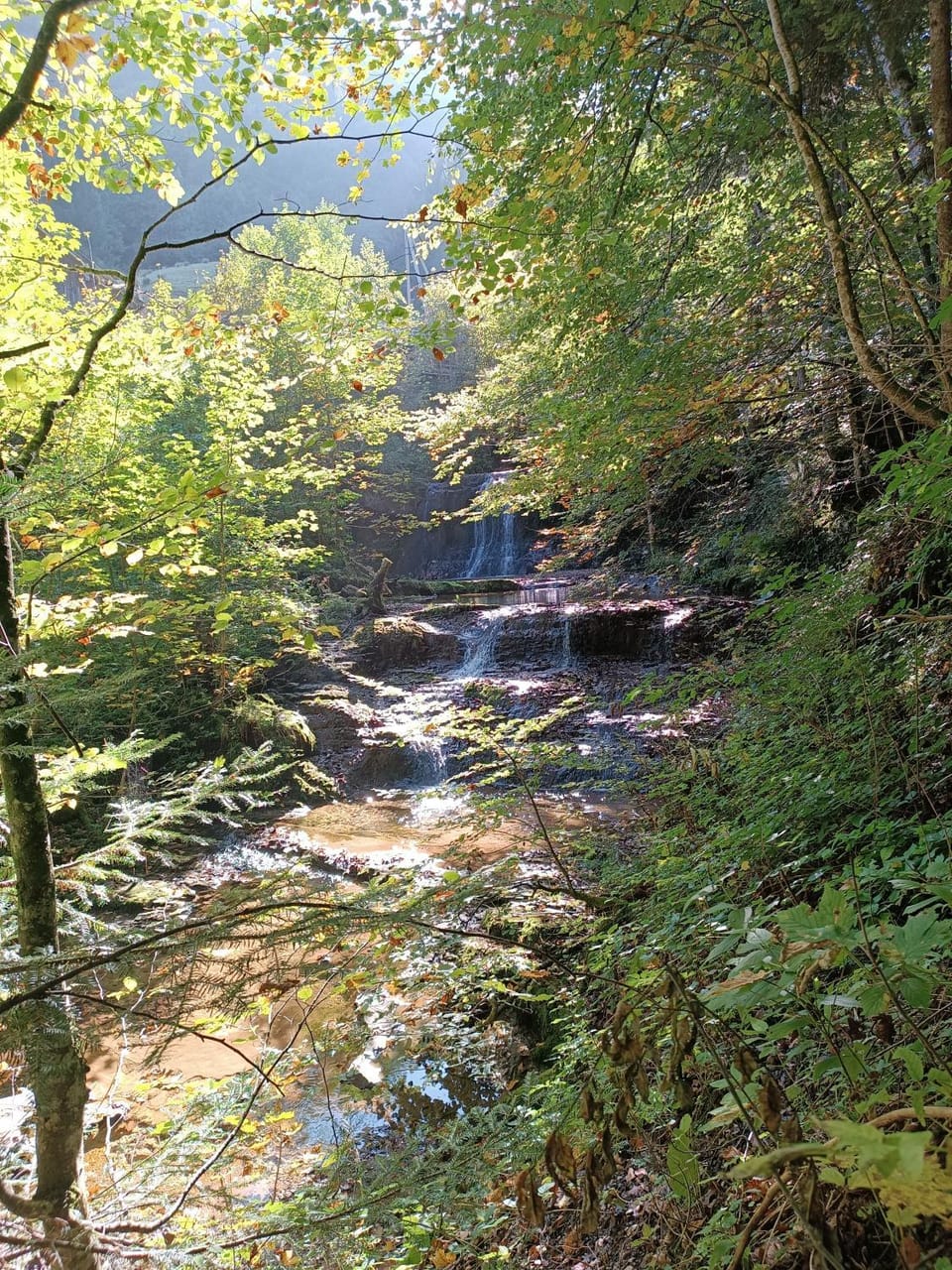 Hintererhof Apartment in Salzburgerland