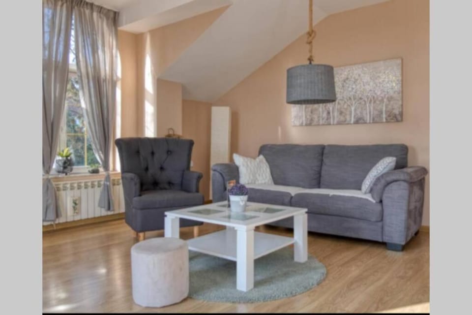 Luxury Riverside Villa with Private Pool, Sauna and BBQ, 12 Guests Villa in Vojvodina