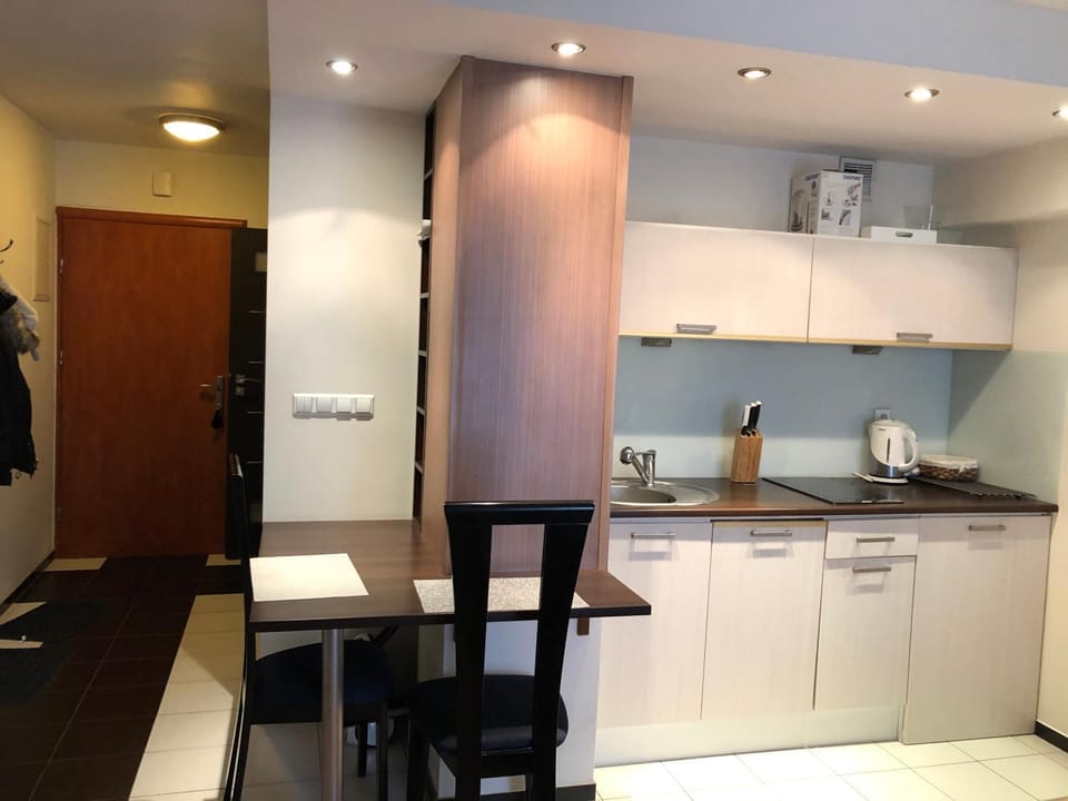 Apartament 117 Apartment in Lesser Poland Voivodeship